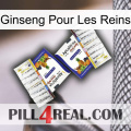 Ginseng For Kidney 12